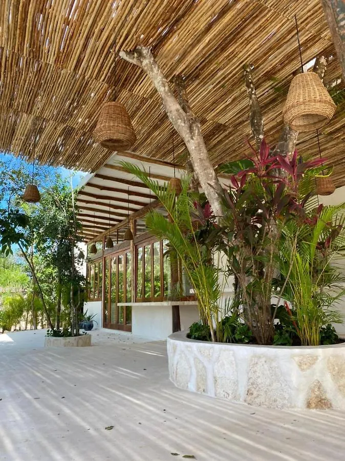 Casa Kauhmay Villa Francisco Uh May